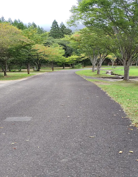 きららの森イメージ