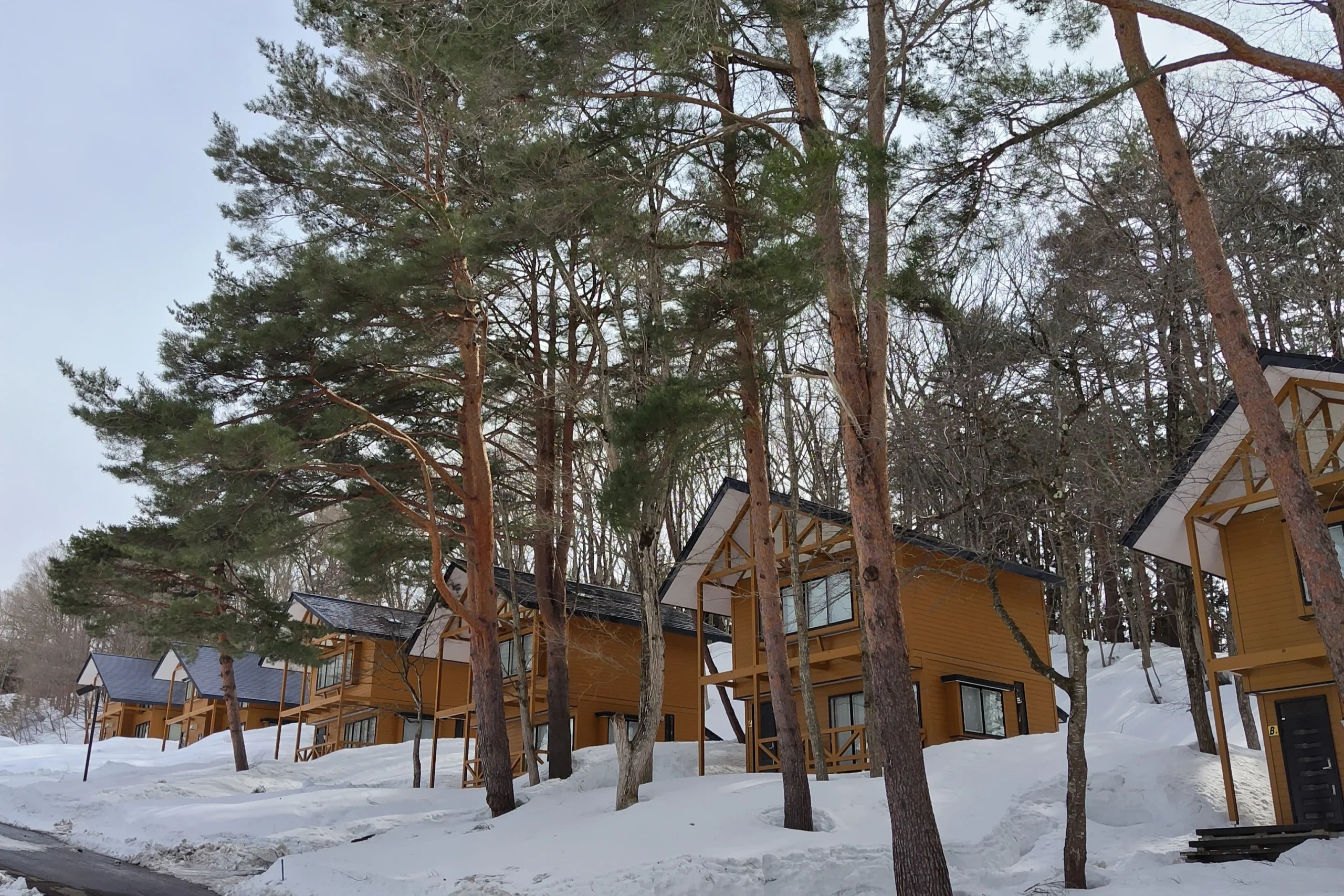 きららの森 | 【公式】親子で楽しめる、みやぎ蔵王 七ヶ宿スキー場